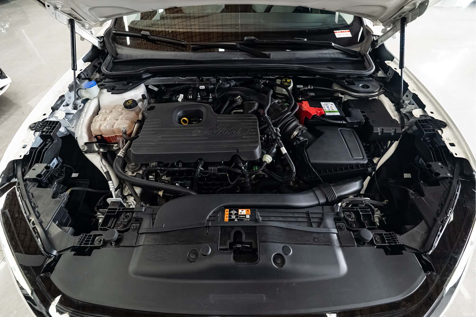 Ford Evos, 2021 все фото