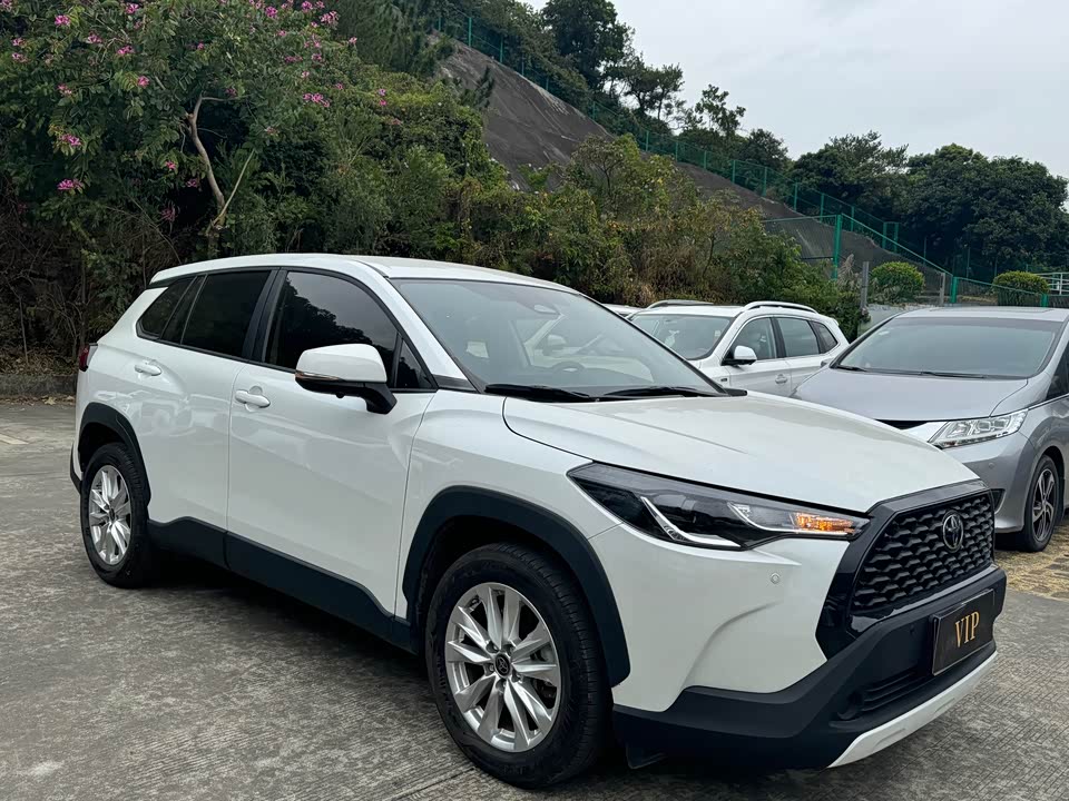 Toyota Corolla Sharp amplifier