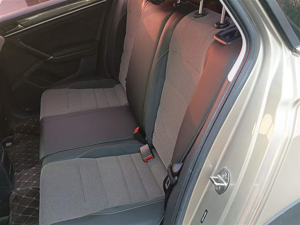 Volkswagen C-TREK Wei Collar