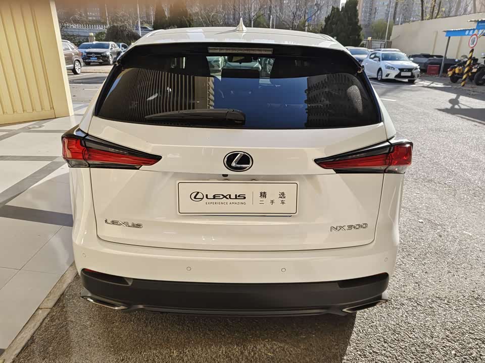Lexus NX