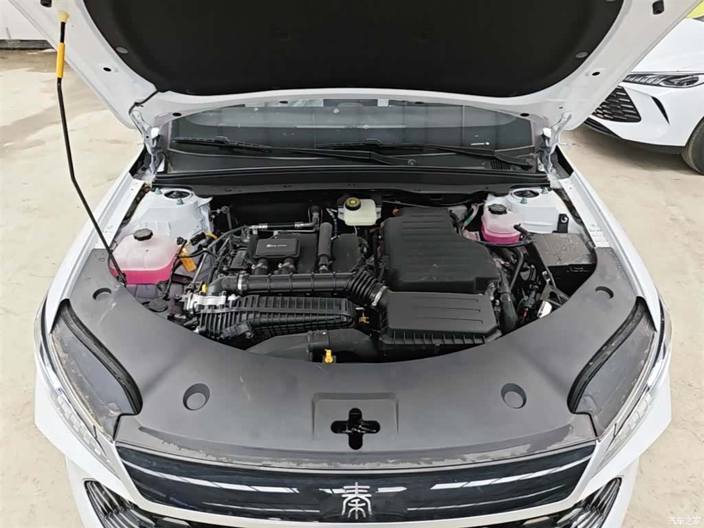 BYD Qin, 2026 20