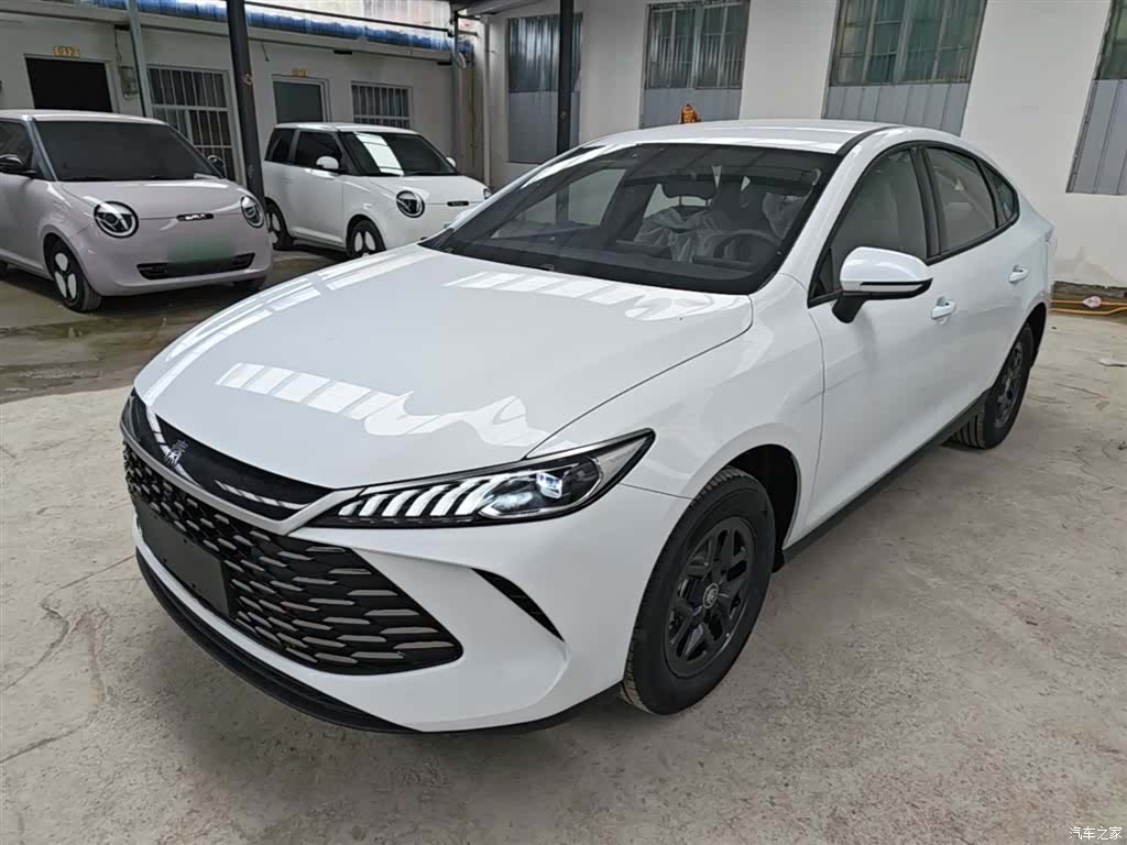 BYD Qin, 2026 1