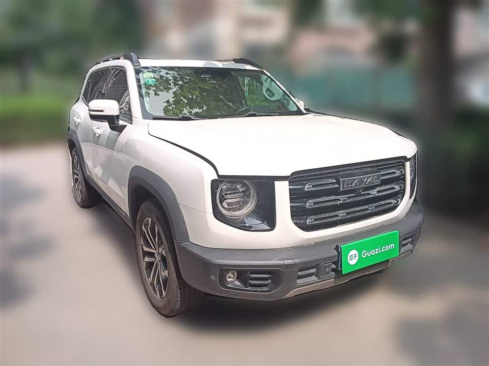 Haval Big dog