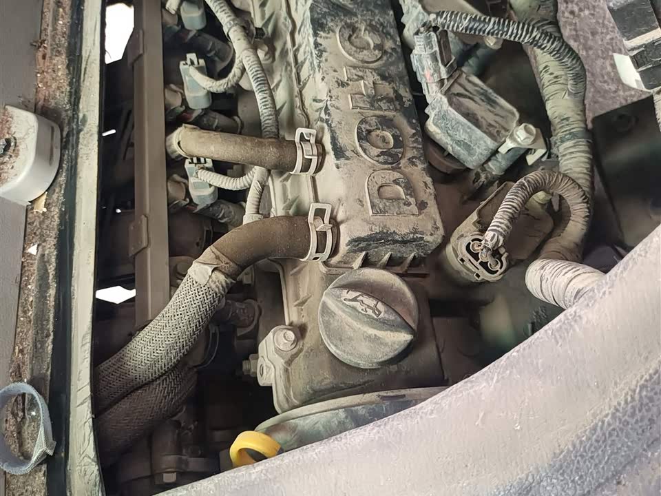 Jinbei New Sea Lion X30L