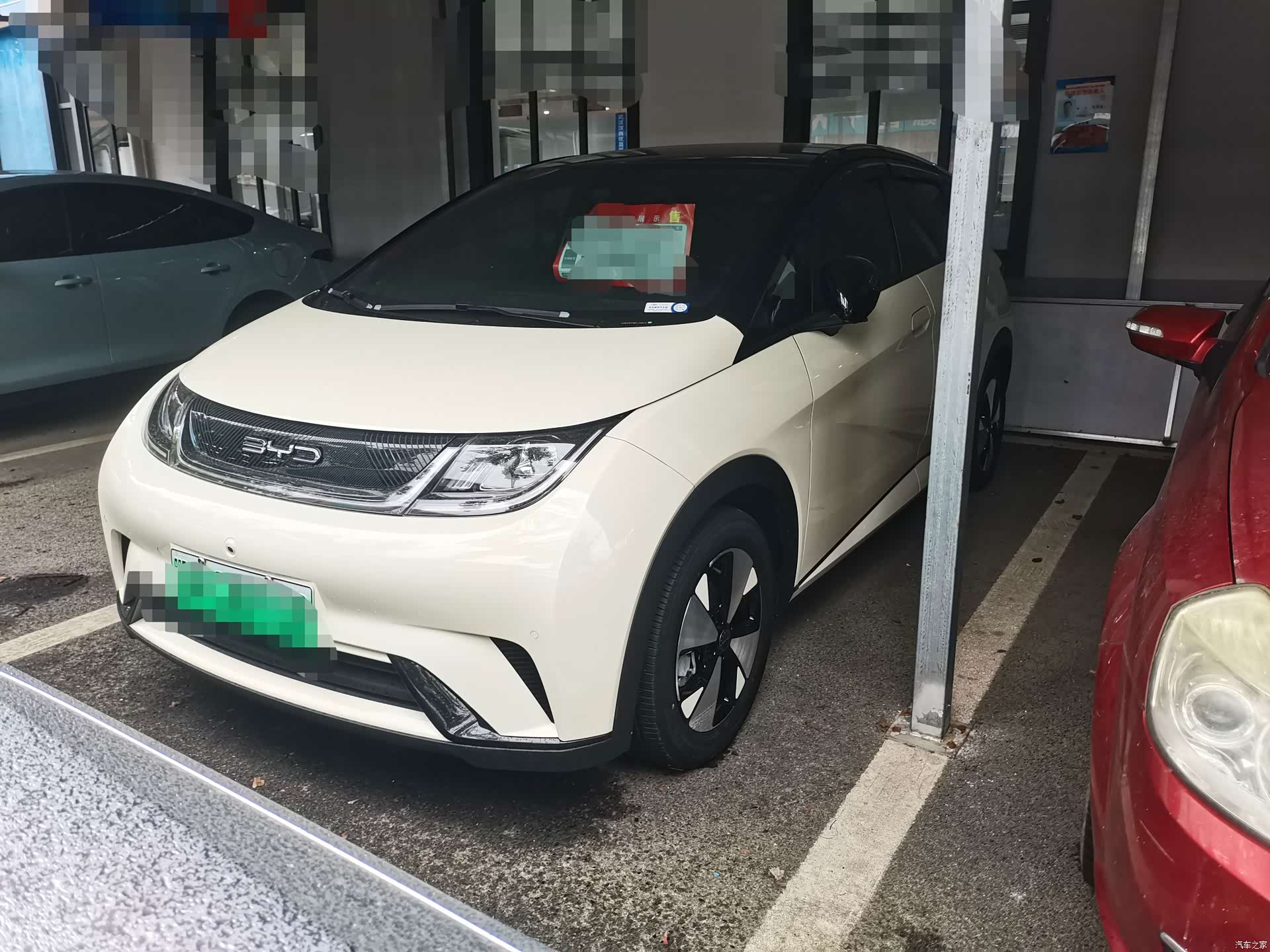 BYD Dolphin, 2023 1