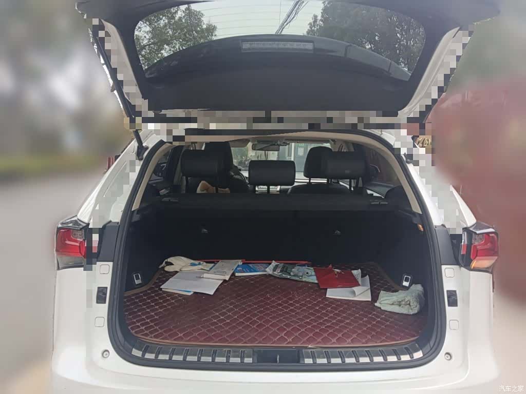 Lexus NX, 2015 10
