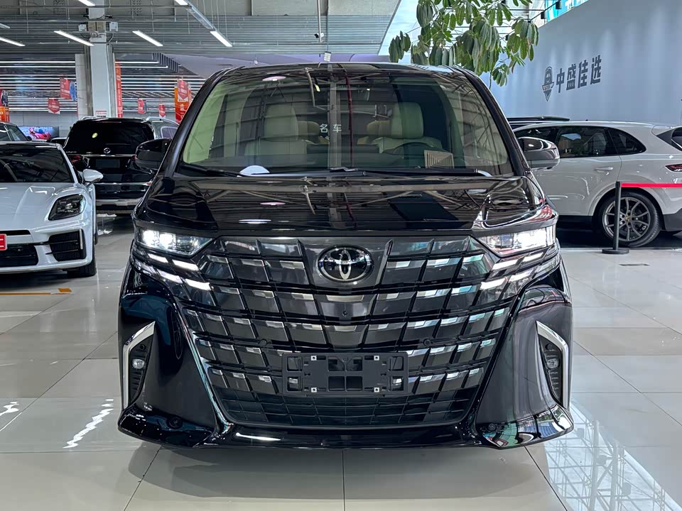 Toyota Elfa
