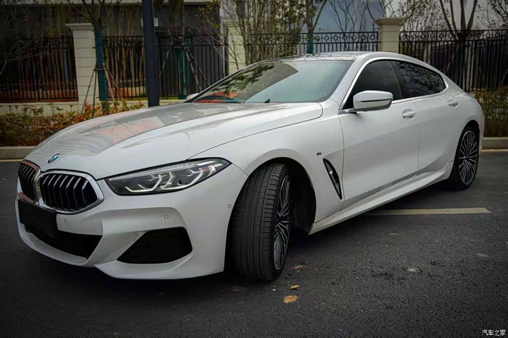 BMW 8 Series, 2021 6