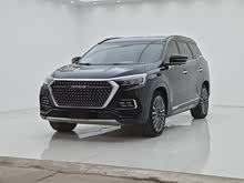 ;X95 2020 1.6T DCTPro 7