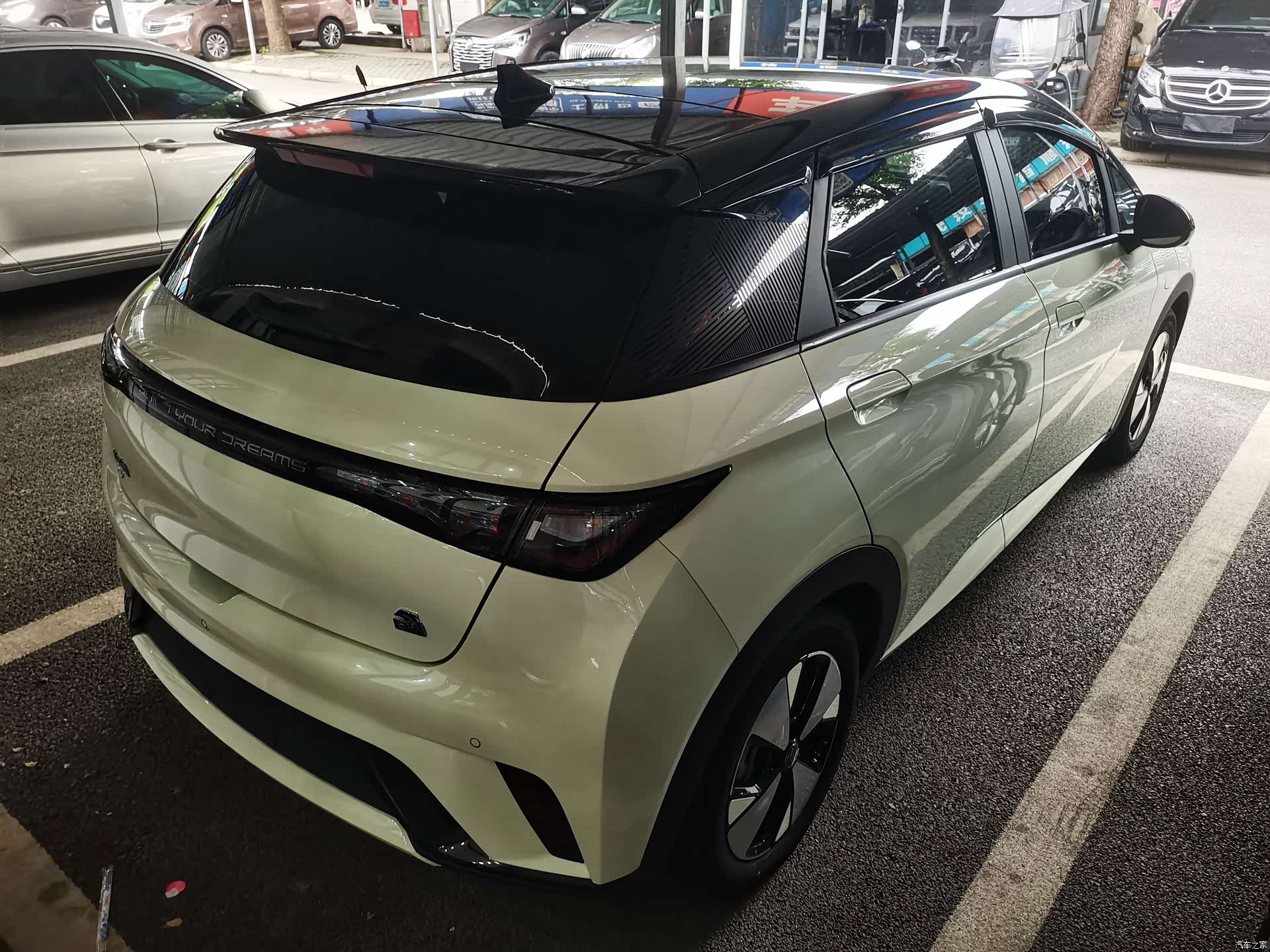 BYD Dolphin, 2023 8