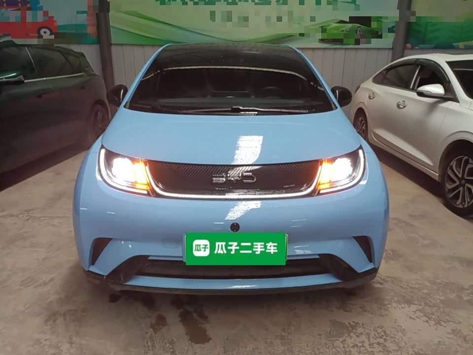BYD dolphin