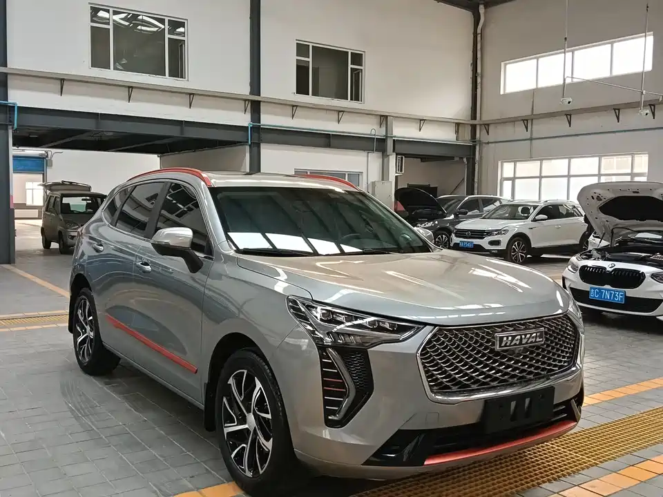 Haval First love