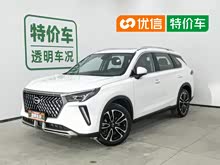 ����GS4 PLUS 2022�� 390T �Զ���ϵ��