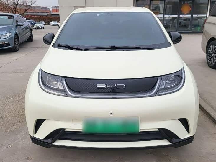 BYD dolphin