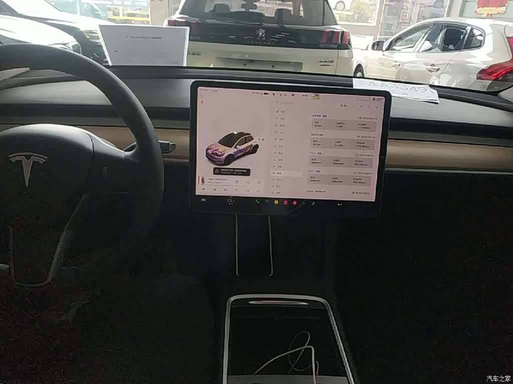 Tesla Model Y, 2021 10