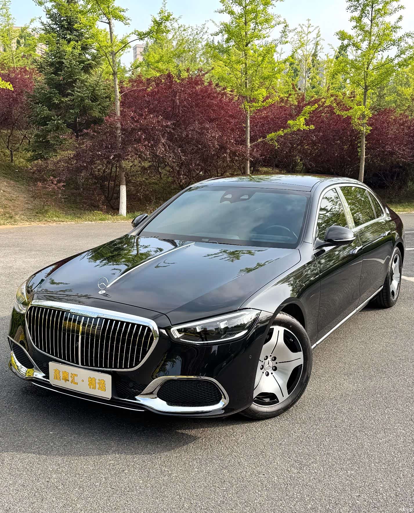 Maybach S-Class, 2021 все фото