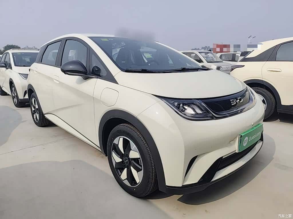 BYD Dolphin, 2026 4