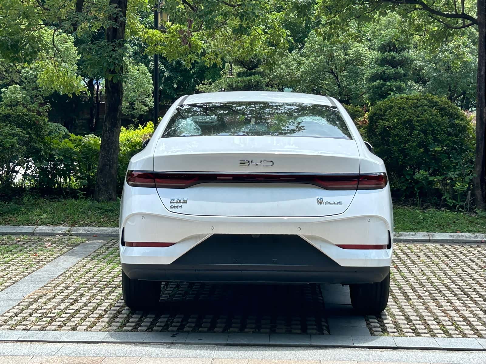 BYD Qin, 2026 15