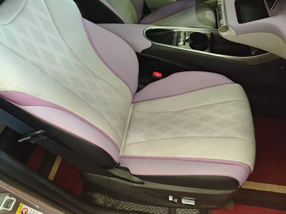 BYD dolphin