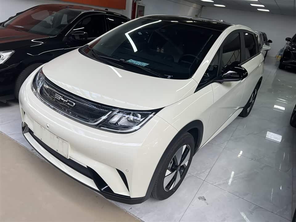 BYD dolphin
