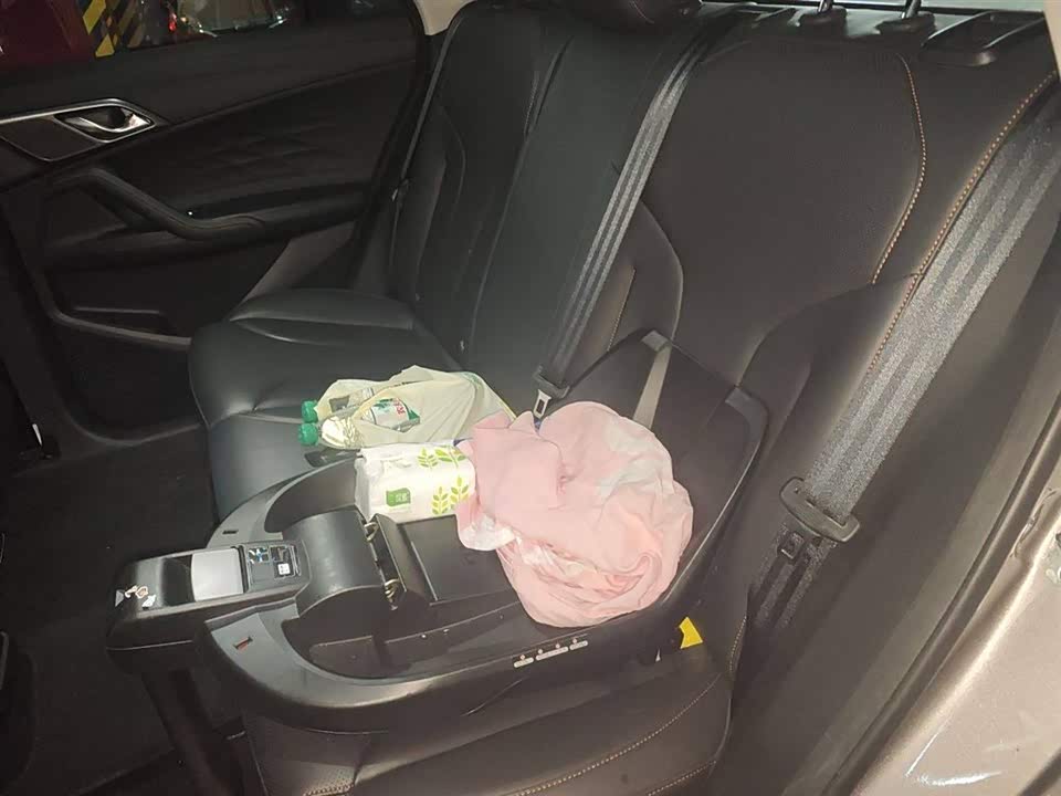 Roewe RX5 New energy