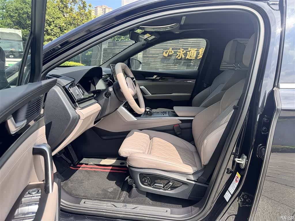 BYD Tang, 2025 9