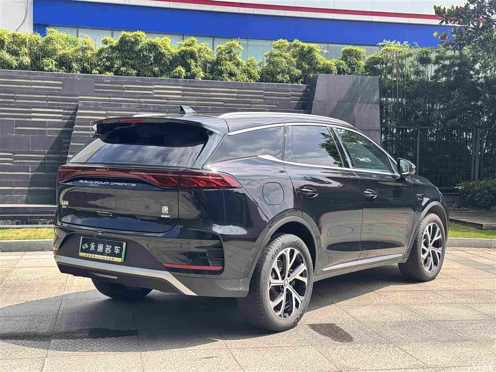 BYD Tang, 2025 15