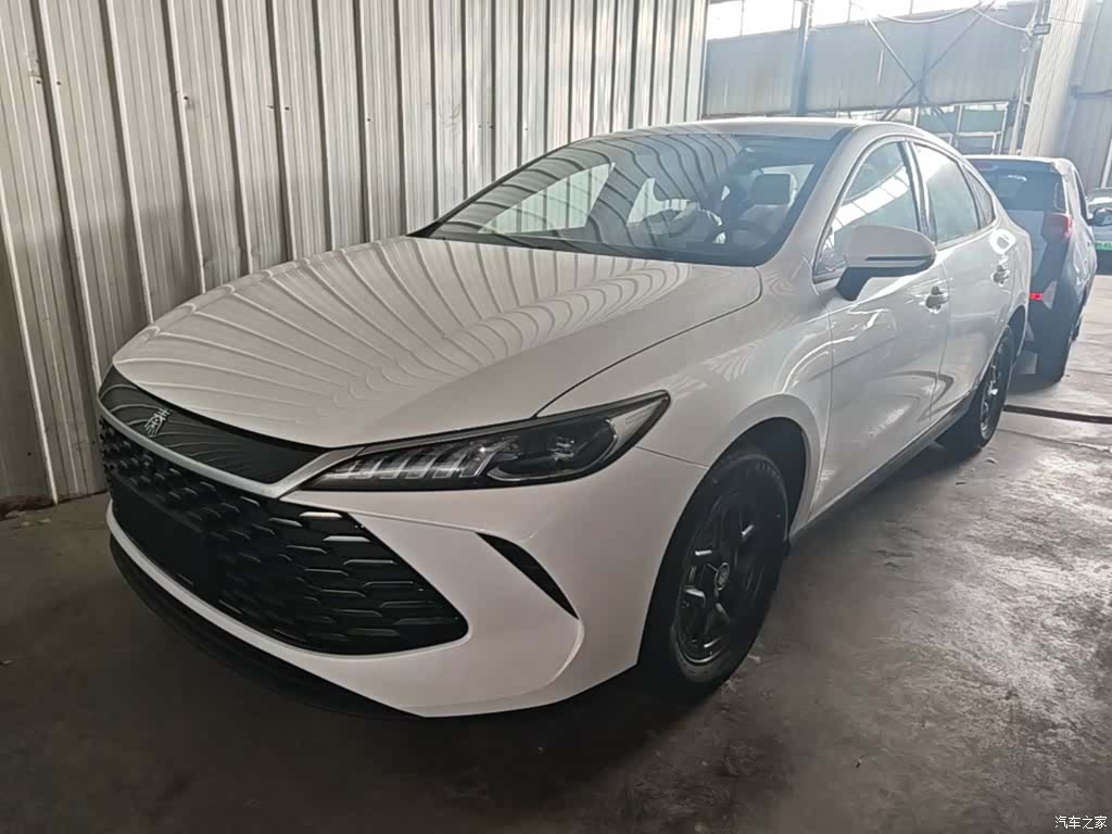 BYD Qin, 2026 1