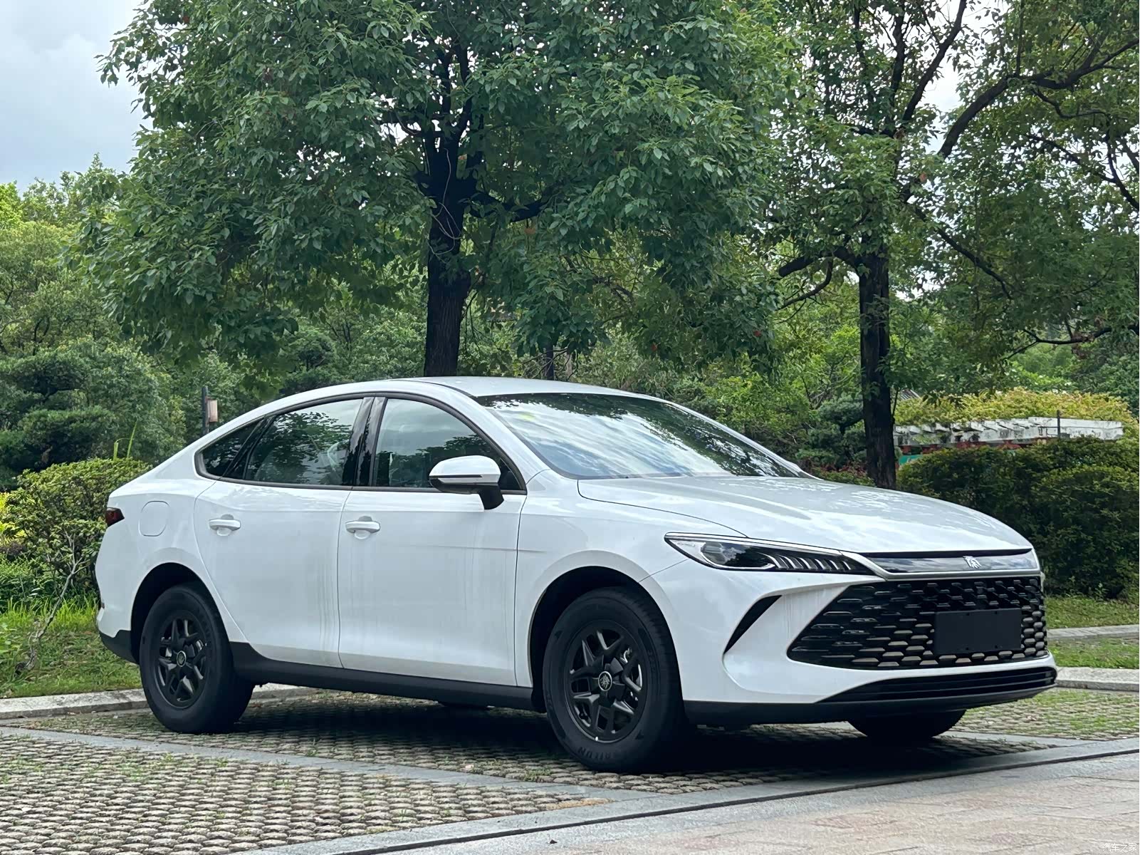 BYD Qin, 2026 3