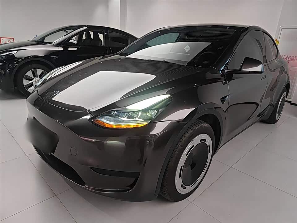 Tesla Model Y Tesla Model Y
