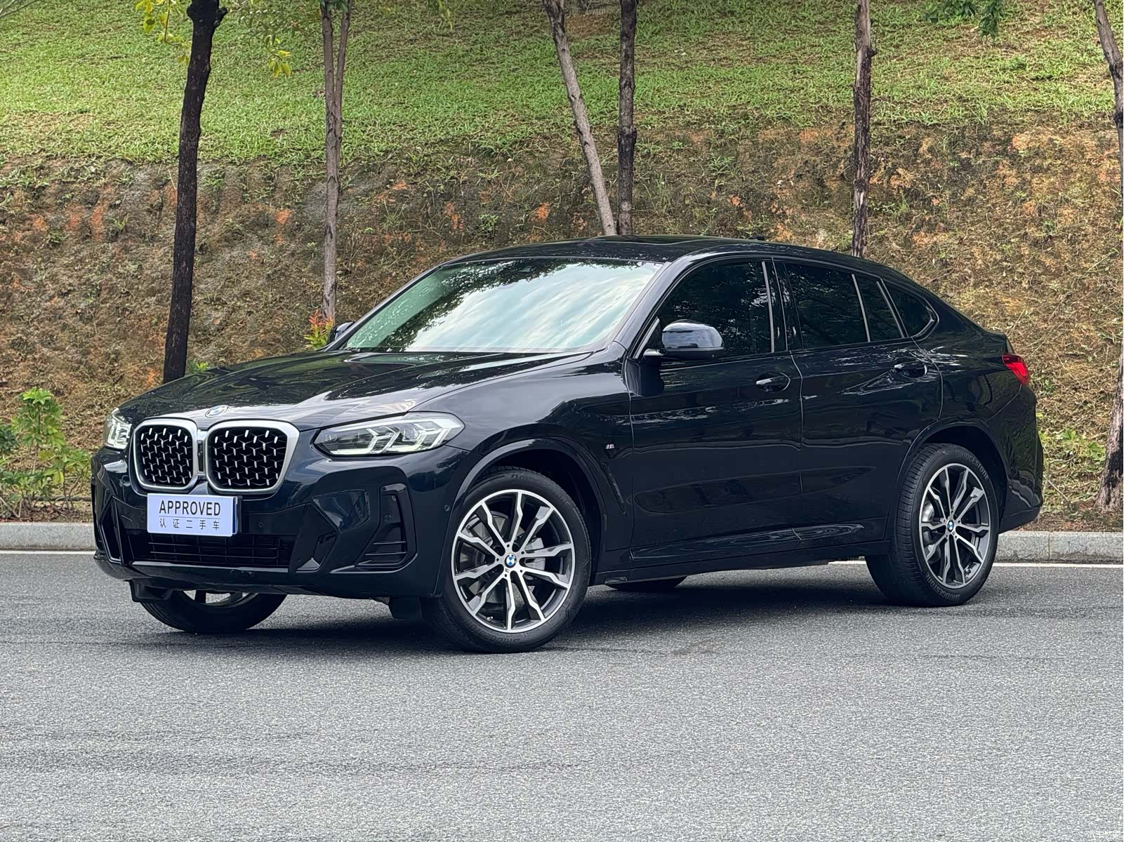 BMW X4, 2022 1