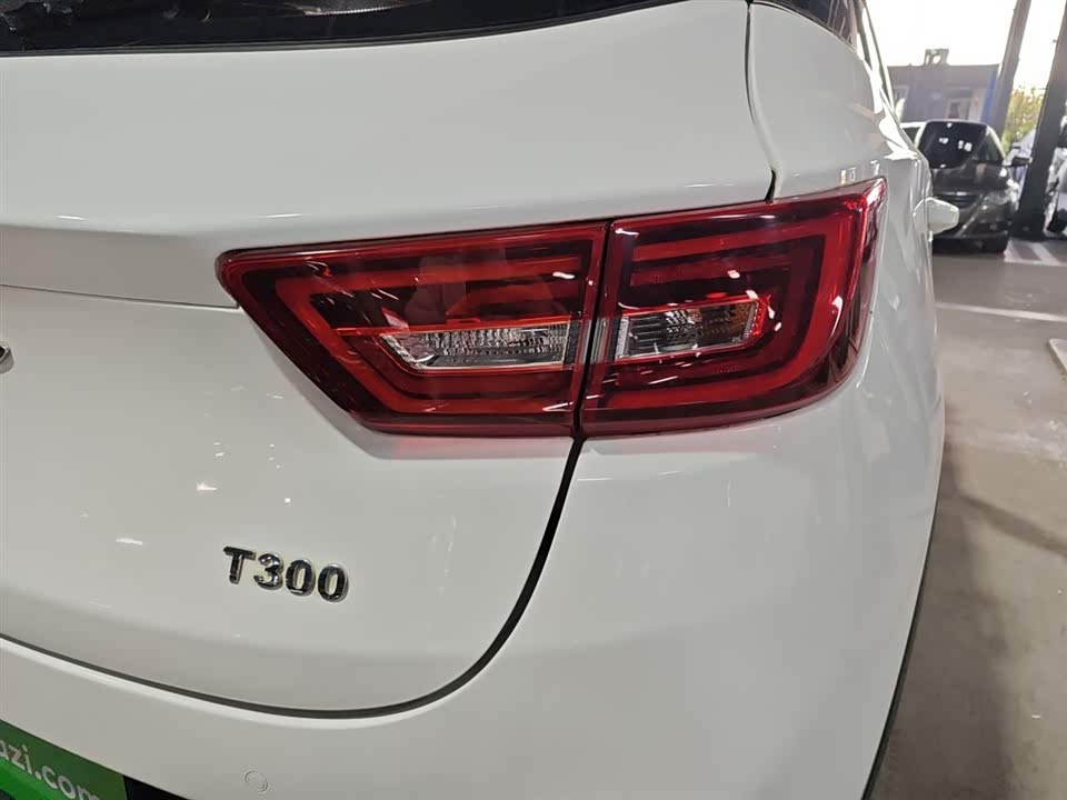 Zotye T300