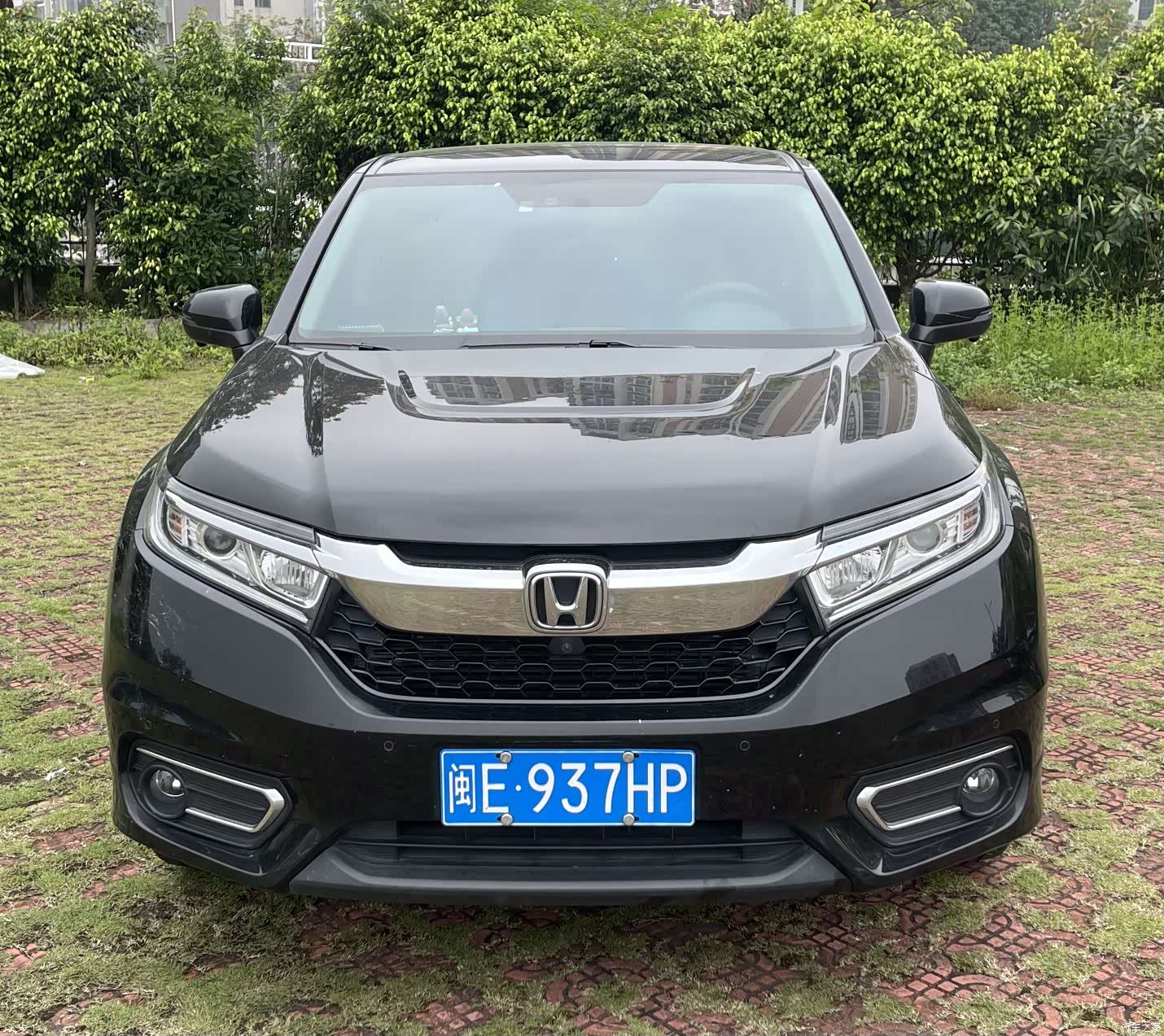 Honda Avancier, 2019 2