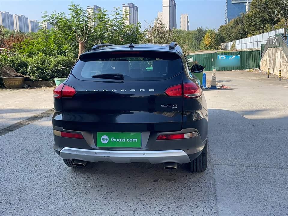 Leopaard Cheetah CS10