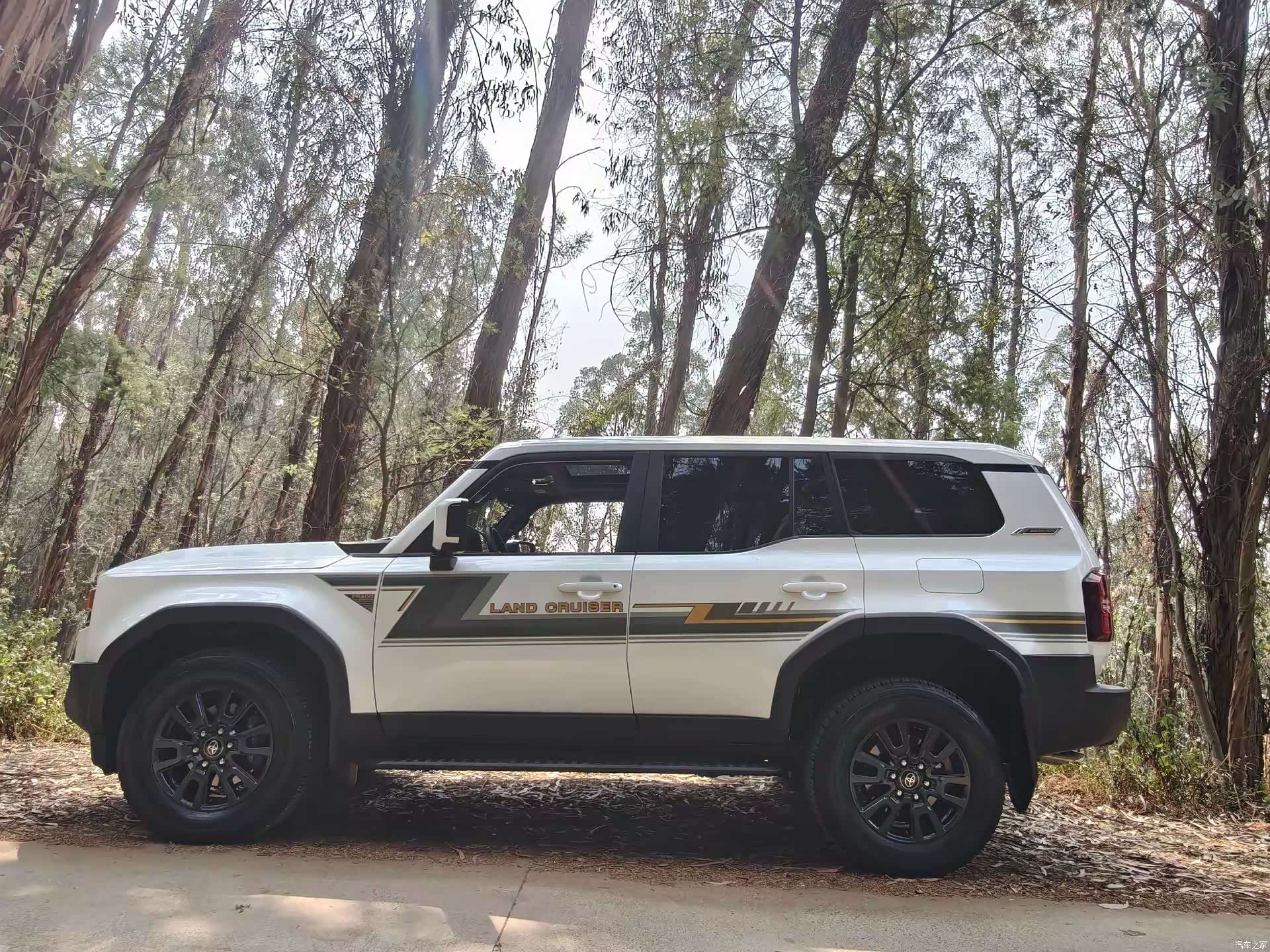 Toyota Prado, 2024 все фото
