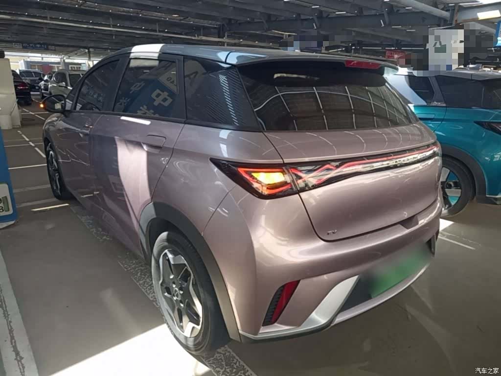 BYD Dolphin, 2022 все фото