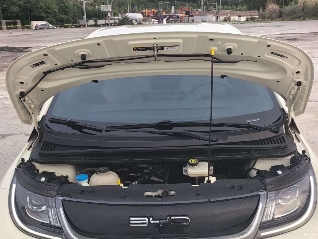 BYD Dolphin, 2024 13