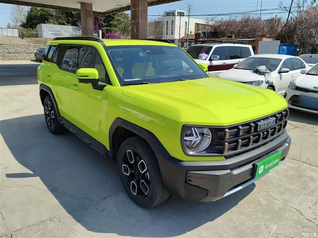 Haval Cool Dog, 2023 4