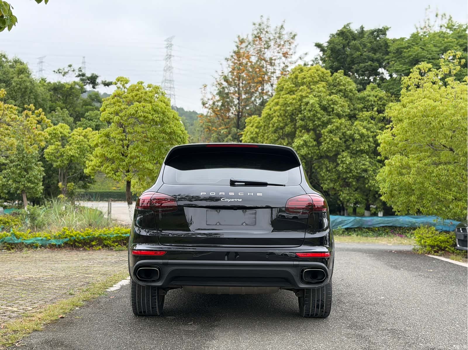 Cayenne Platinum, 2017 8
