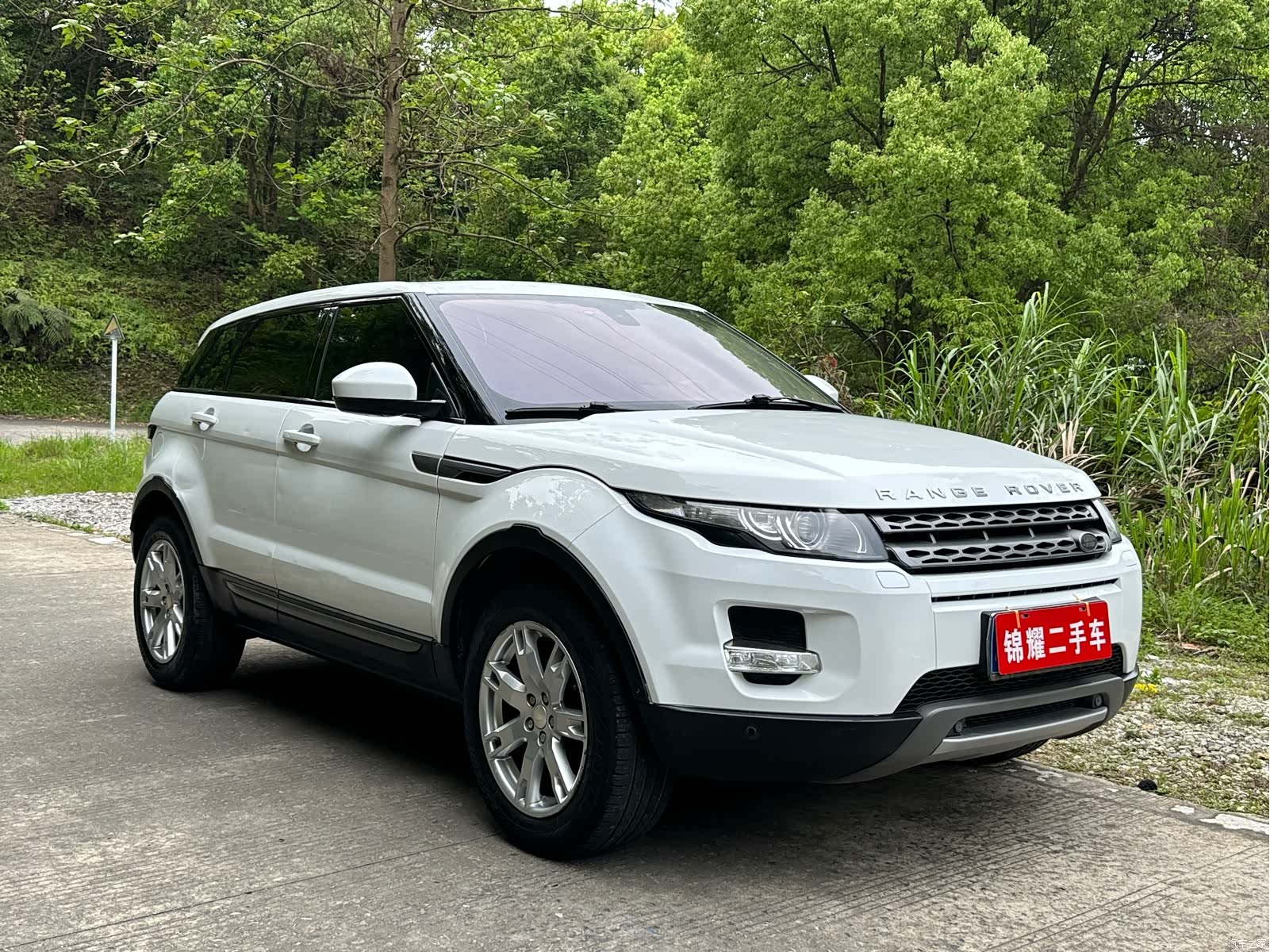 Land Rover Range Rover, 2014 все фото