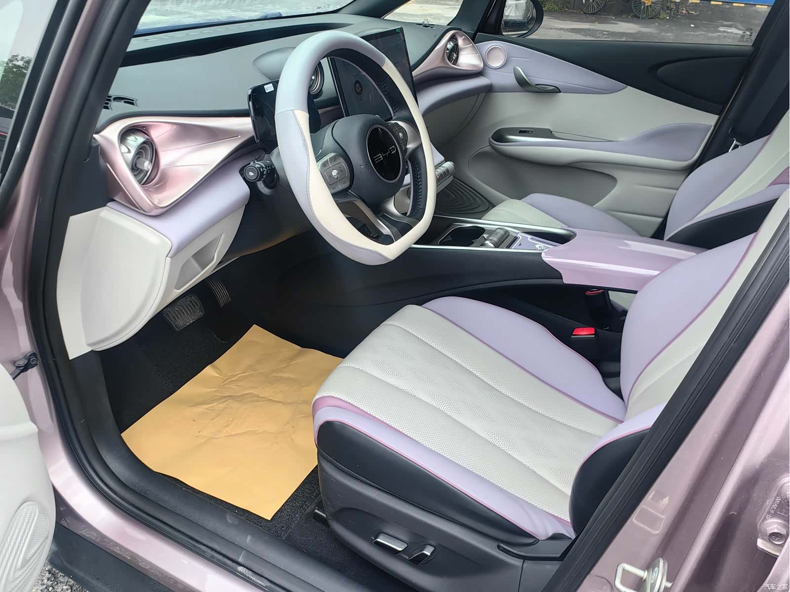 BYD Dolphin, 2023 4