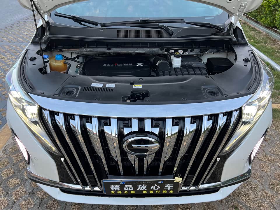 Trumpchi Trumpchi M8