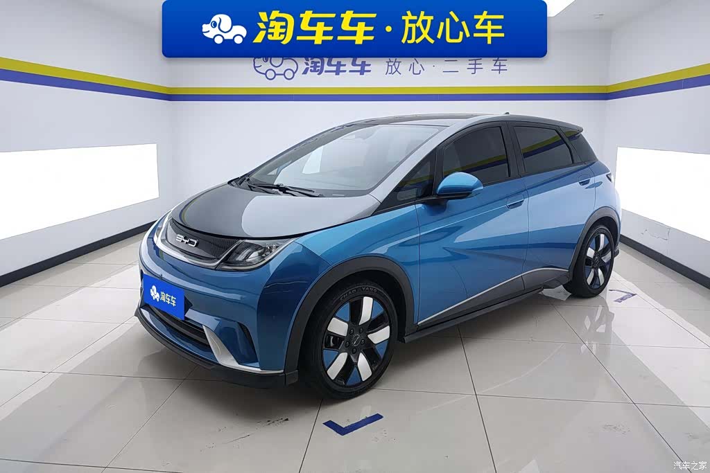 BYD Dolphin, 2022 1