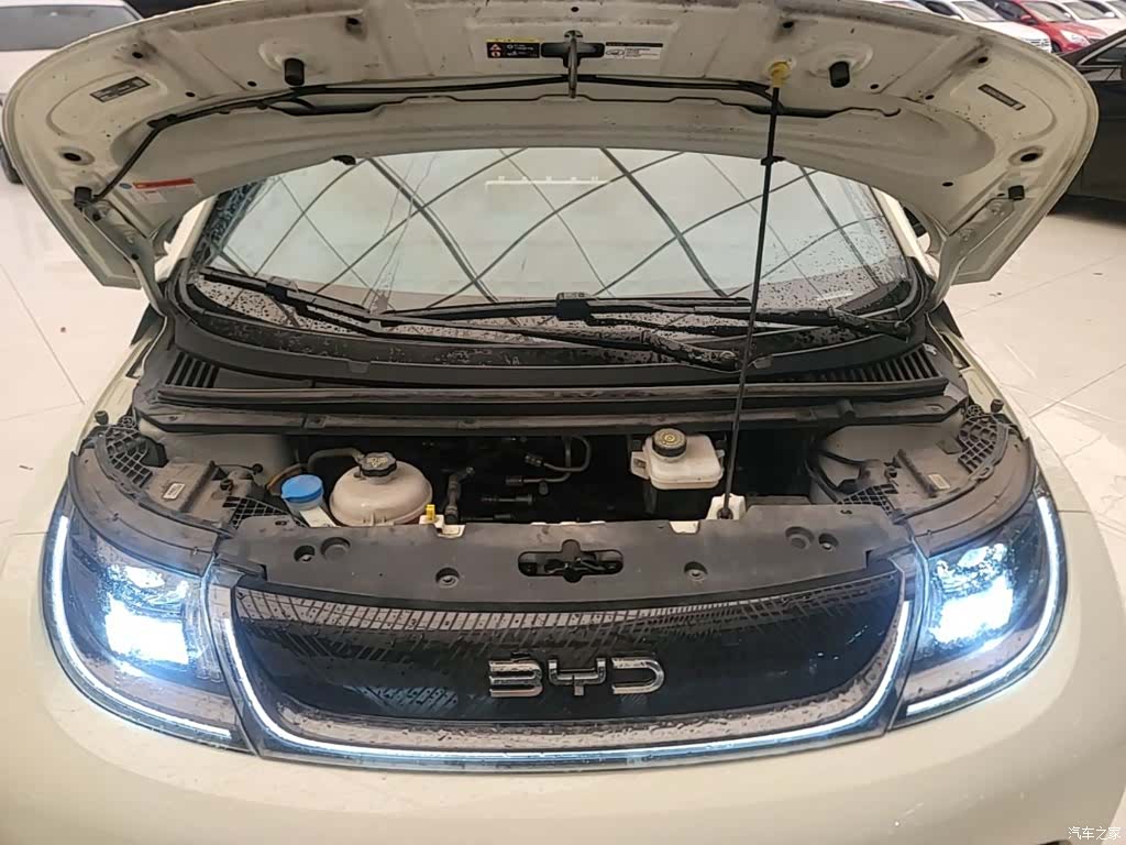 BYD Dolphin, 2024 20