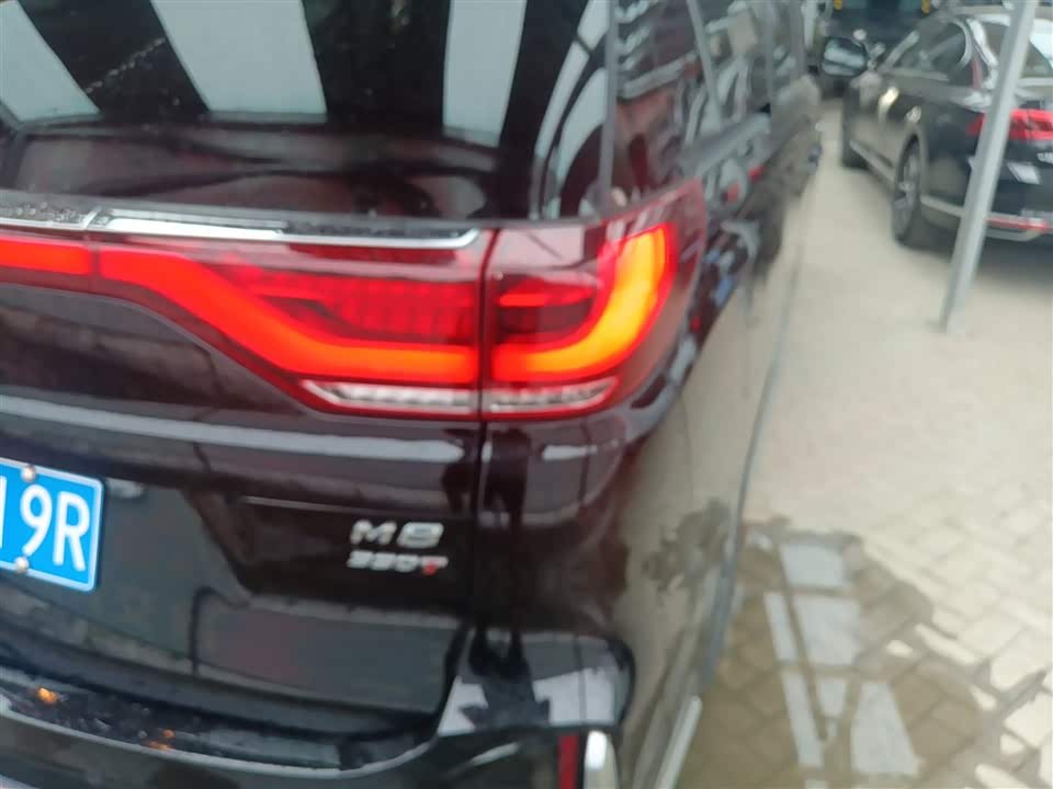 Trumpchi Trumpchi M8 Trumpchi Trumpchi M8