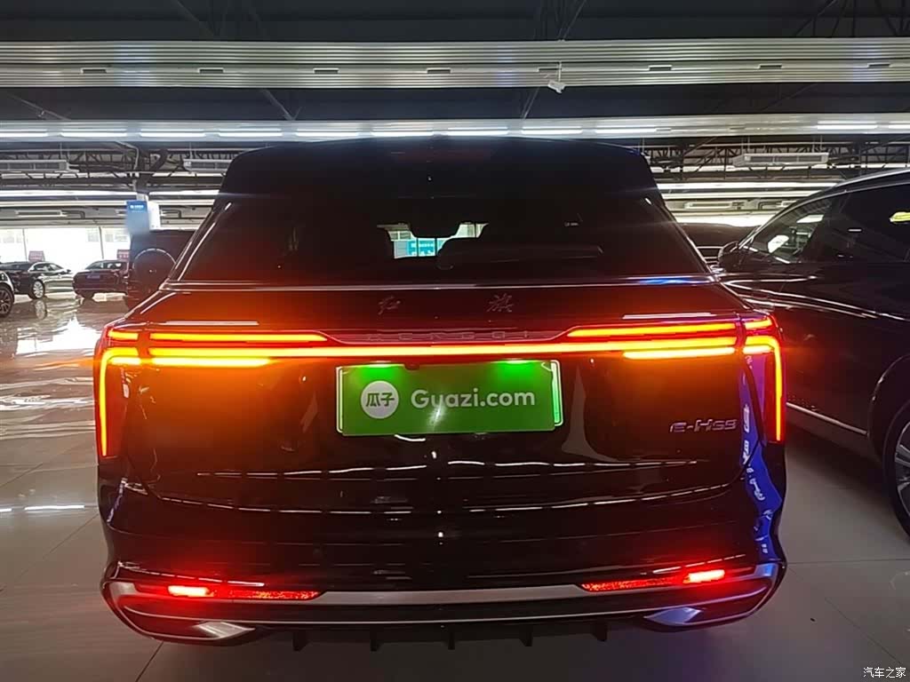 Hongqi E-HS9, 2023 6