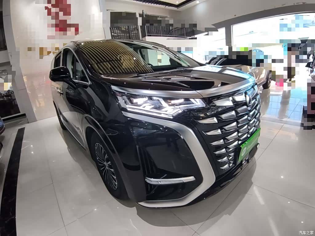 Denza D9, 2024 4