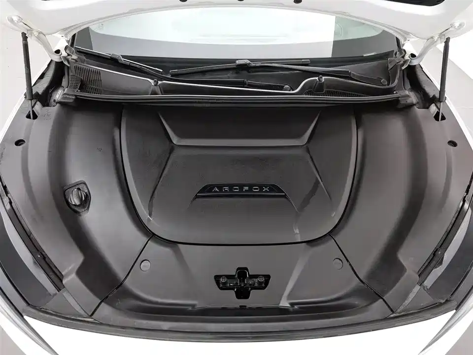 ARCFOX Polar Fox Alpha S