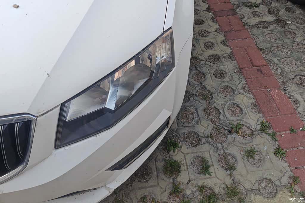 Skoda Octavia, 2017 все фото