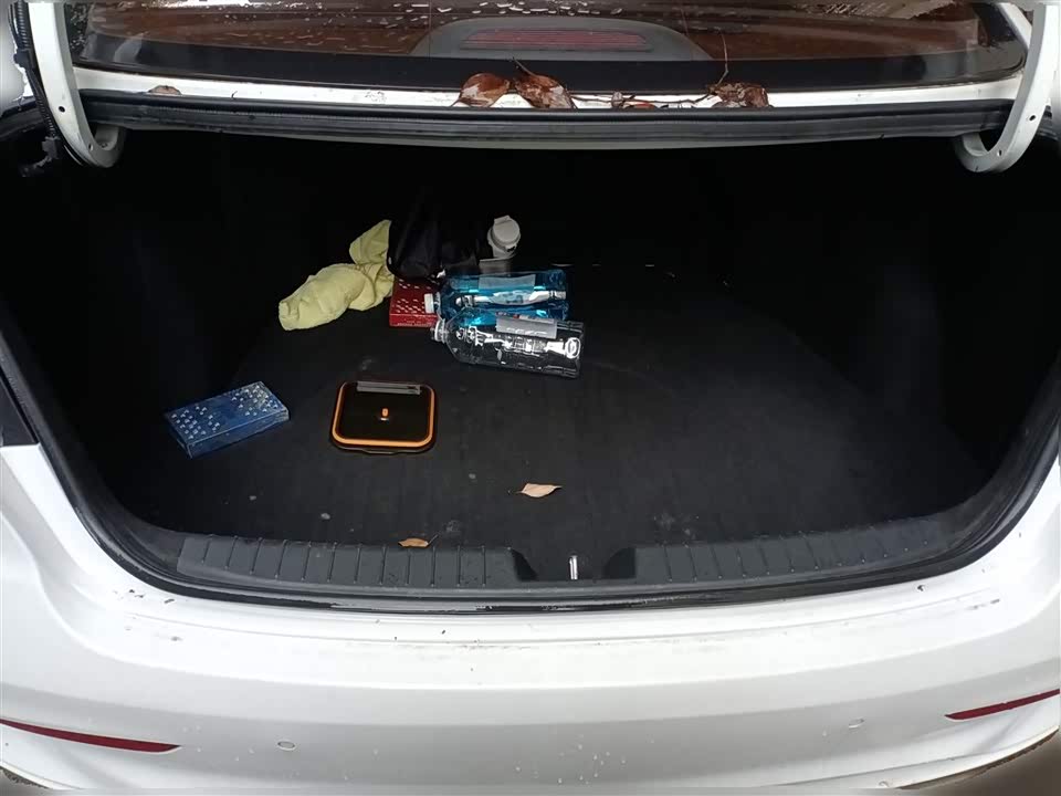 Hyundai Name picture